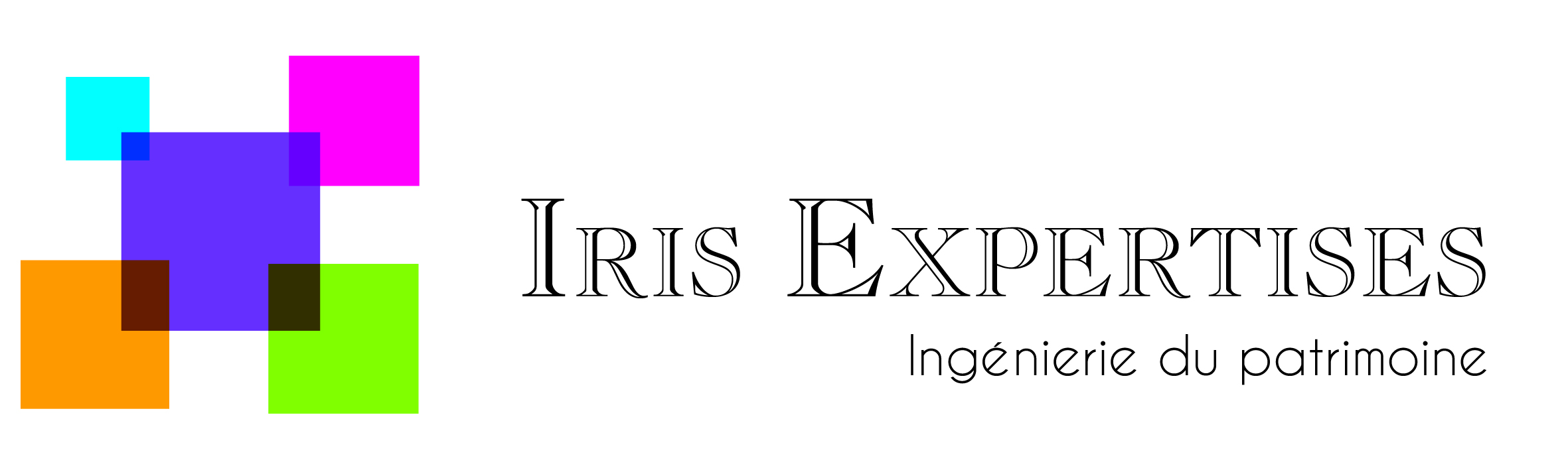 logo_IRIS EXPERTISES